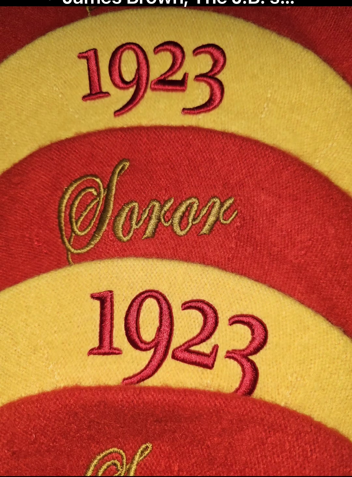 Red Wool 1923 Tam